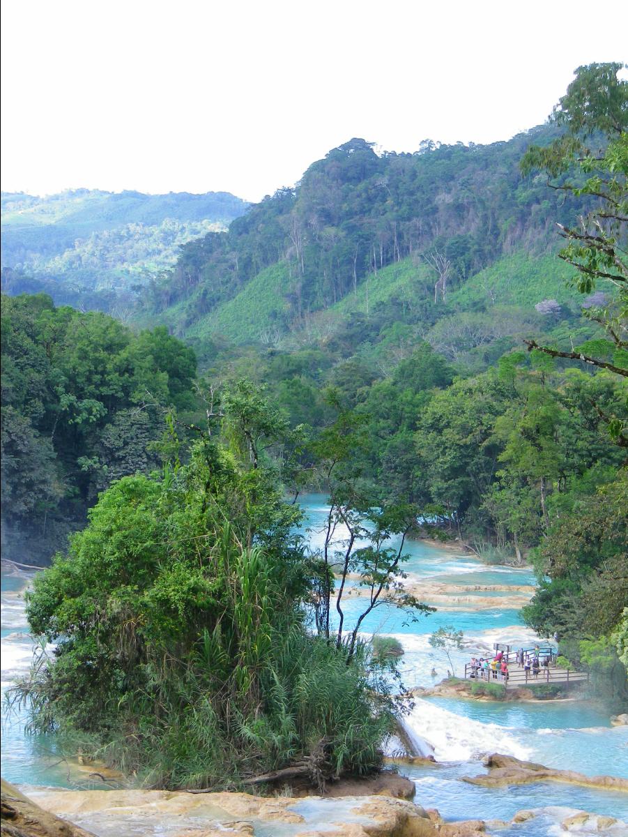 Agua Azul Waterfall38